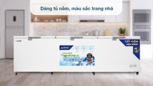 Tủ đông Hòa Phát HPF AD81190